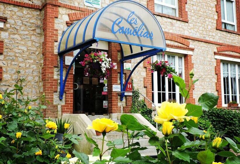 בית מלון כפרי Les Camelias