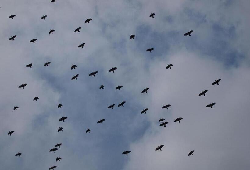 בית מלון כפרי Muxima Aljezur