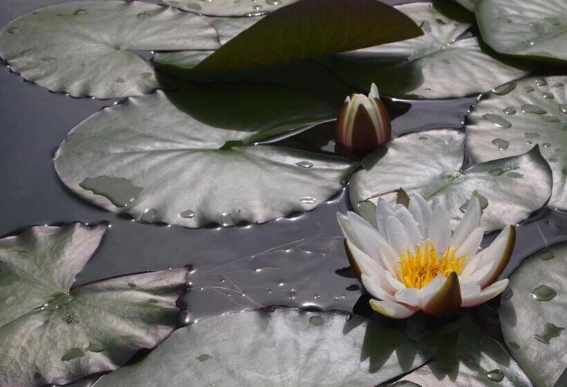 בית מלון כפרי Muxima Aljezur