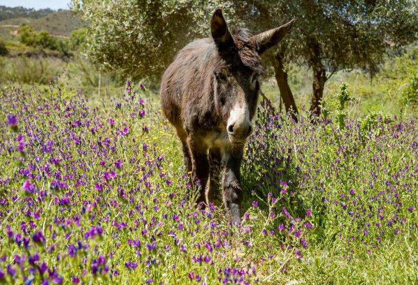 בית מלון כפרי Muxima Aljezur