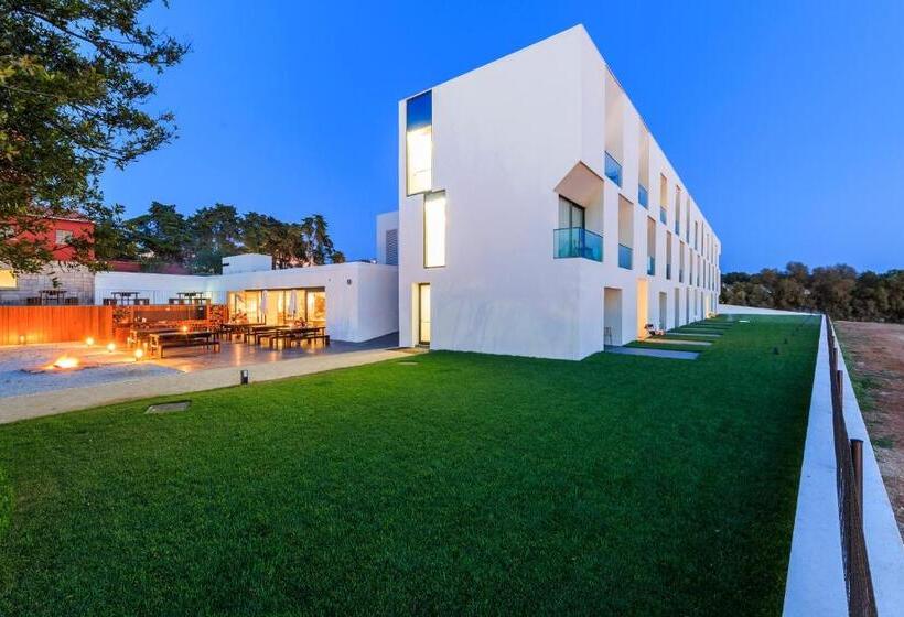 فندق Octant Santiago