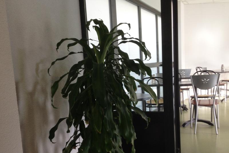 ホテル P'tit Dej-Hôtel Clermont-Ferrand Centre