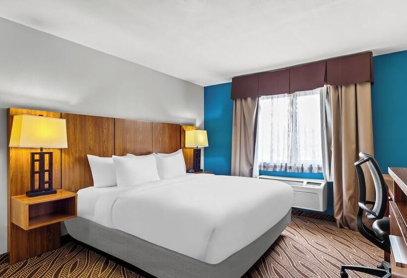 فندق Quality Inn & Suites Airport North - Stone Oak