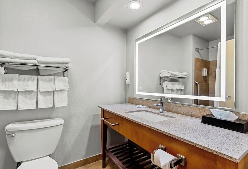 فندق Quality Inn & Suites Airport North - Stone Oak