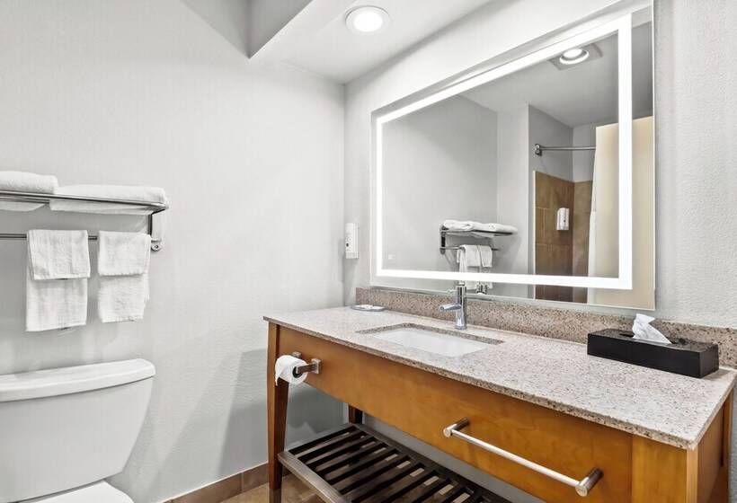 فندق Quality Inn & Suites Airport North - Stone Oak