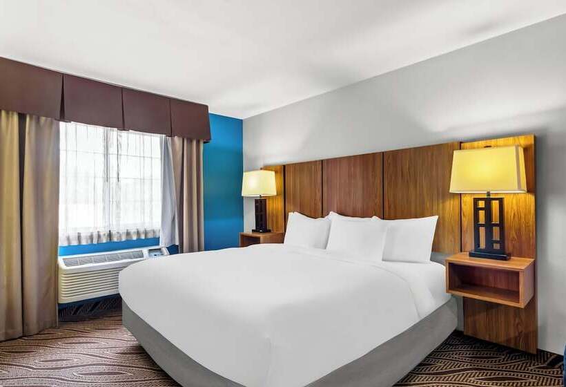 فندق Quality Inn & Suites Airport North - Stone Oak