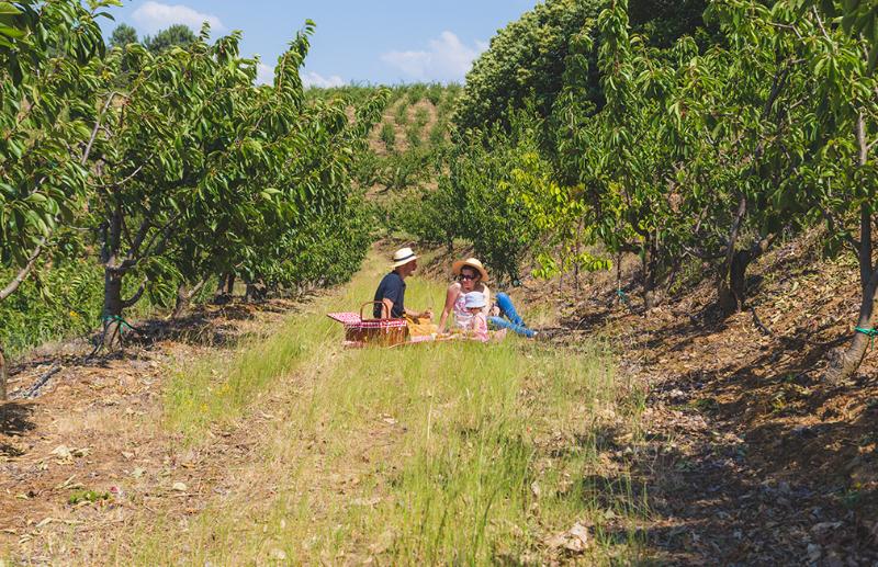 호텔 Quinta Da Barroca Douro Valley