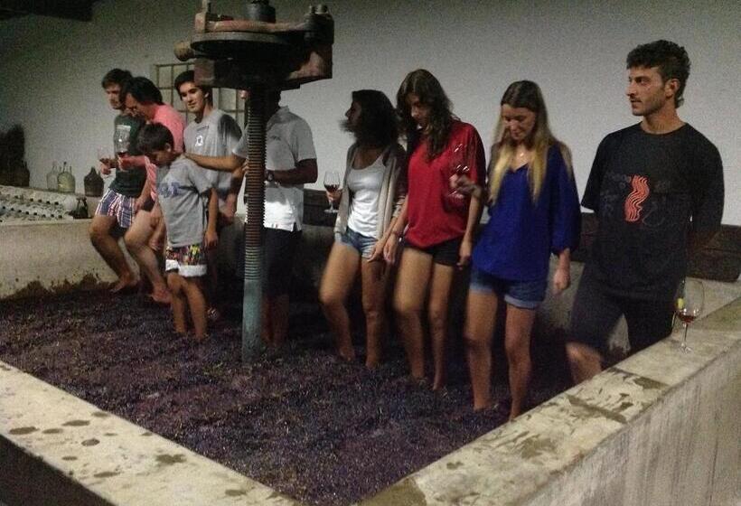 ホテル Quinta Da Casa Cimeira, Guest House, Wines & Food