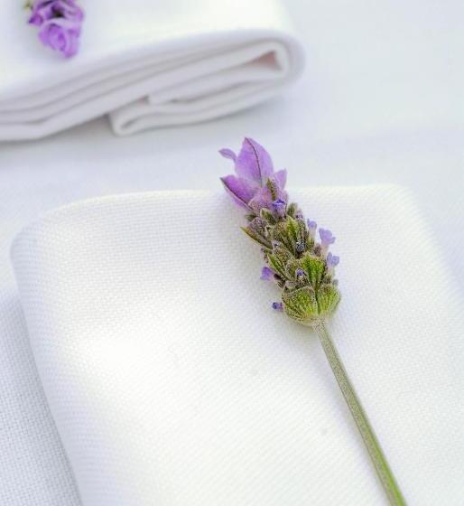 فندق Quinta Da Lua