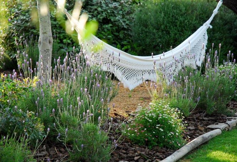 فندق Quinta Da Lua