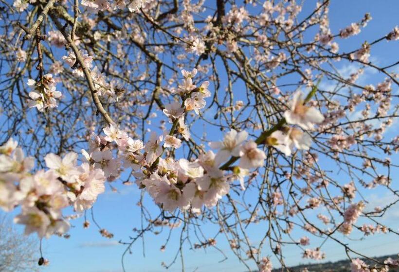 酒店 Quinta Da Mesquita