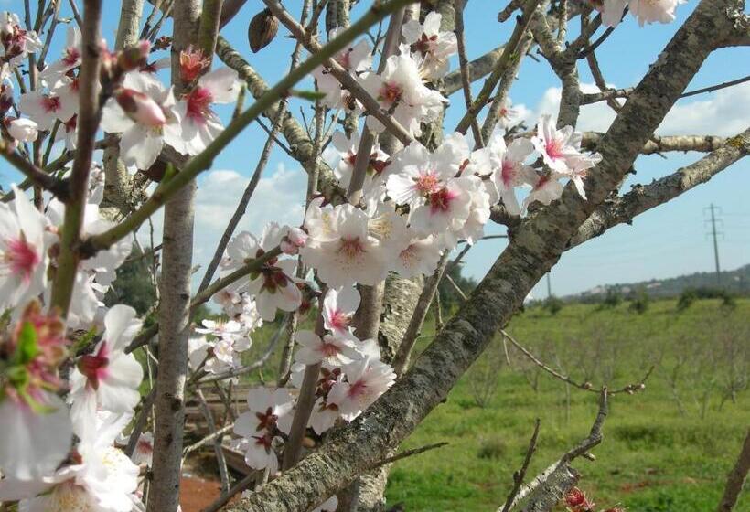 酒店 Quinta Da Mesquita