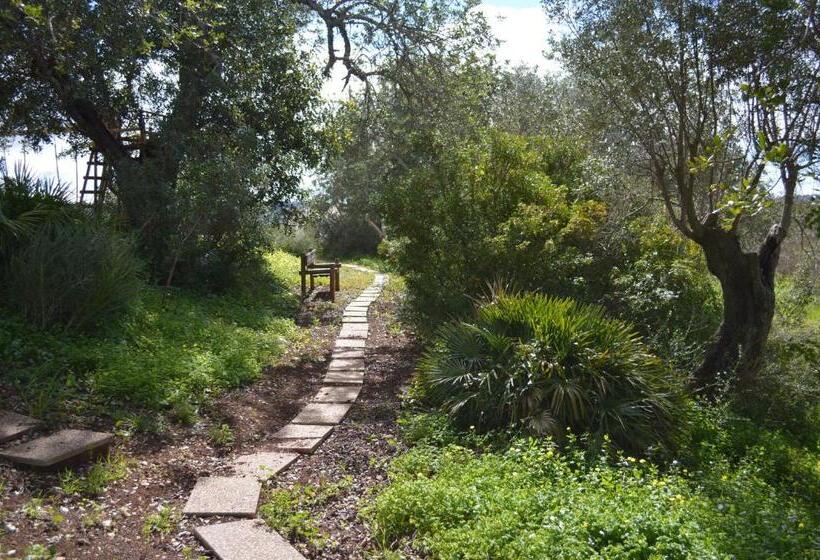 酒店 Quinta Da Mesquita