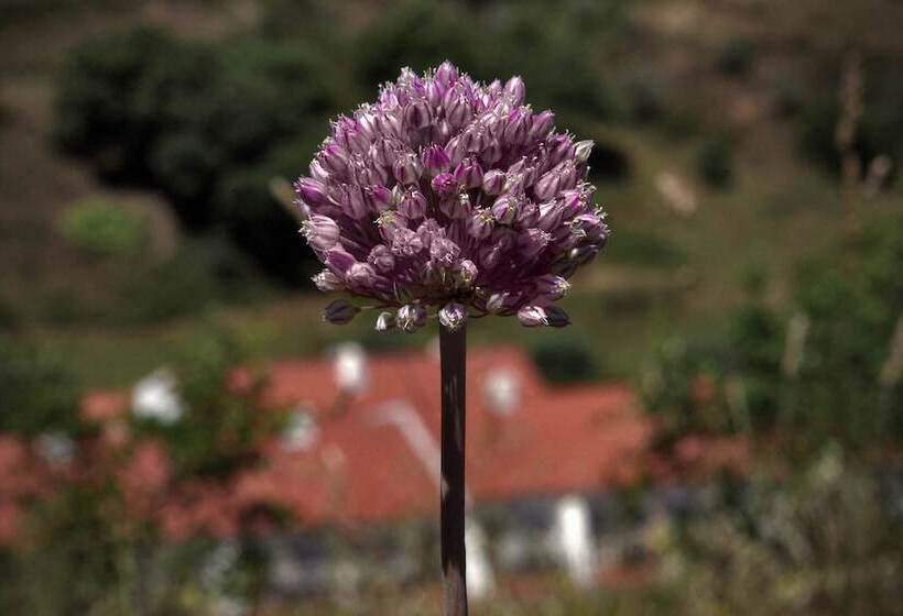 هتل Quinta Do Chocalhinho Agroturismo & Spa