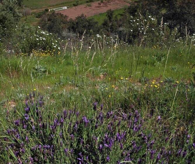 Отель Quinta Do Chocalhinho Agroturismo & Spa