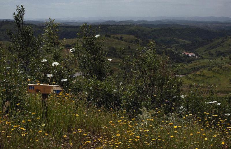 Отель Quinta Do Chocalhinho Agroturismo & Spa