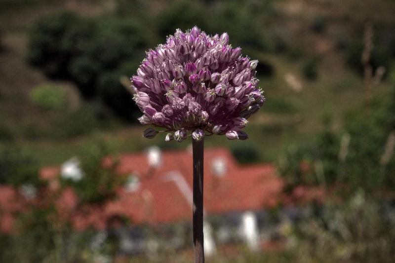 Отель Quinta Do Chocalhinho Agroturismo & Spa