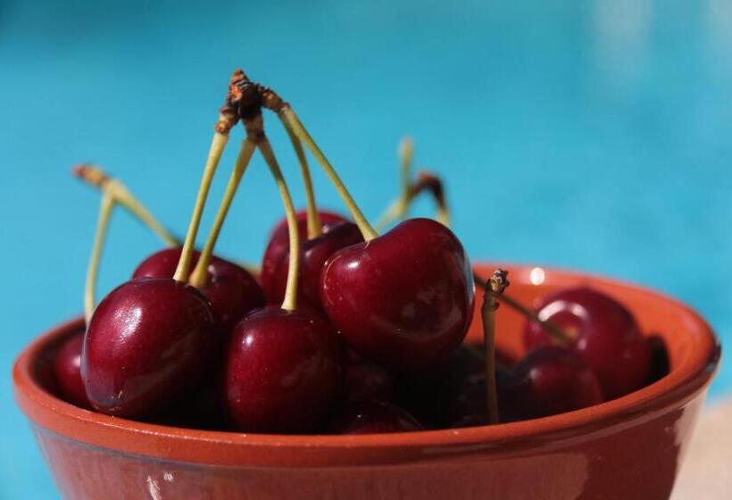 فندق Quinta Formosa