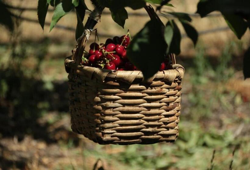 فندق Quinta Formosa