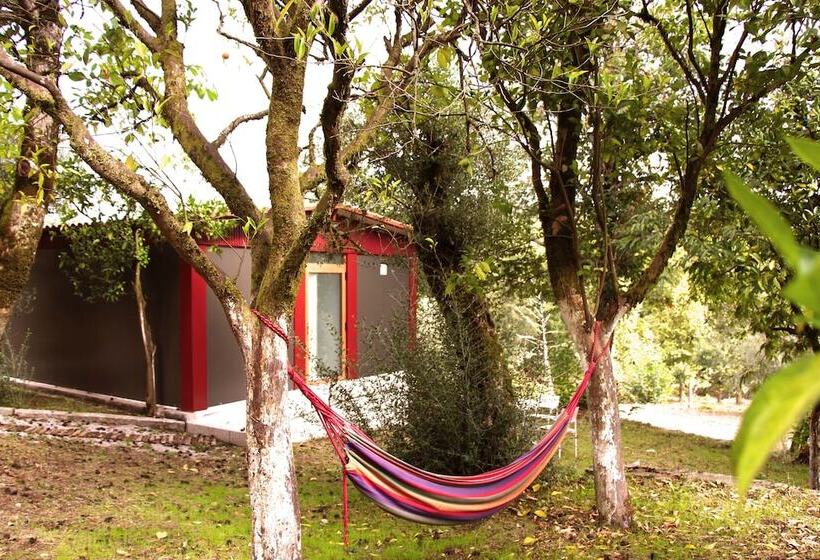 田舎風ホテル Rural De Charme Maria Da Fonte