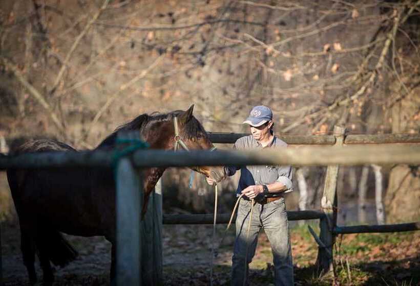 田舎風ホテル Rural De Charme Maria Da Fonte