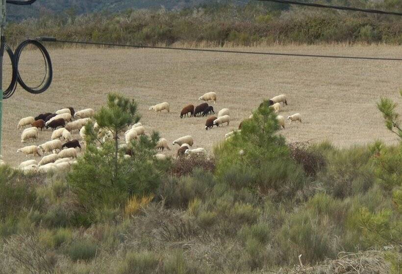 호텔 Rural Sra De Pereiras