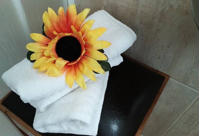 호텔 Rural Sra De Pereiras