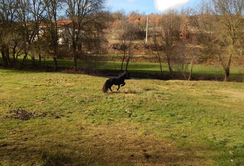 호텔 Rural Sra De Pereiras