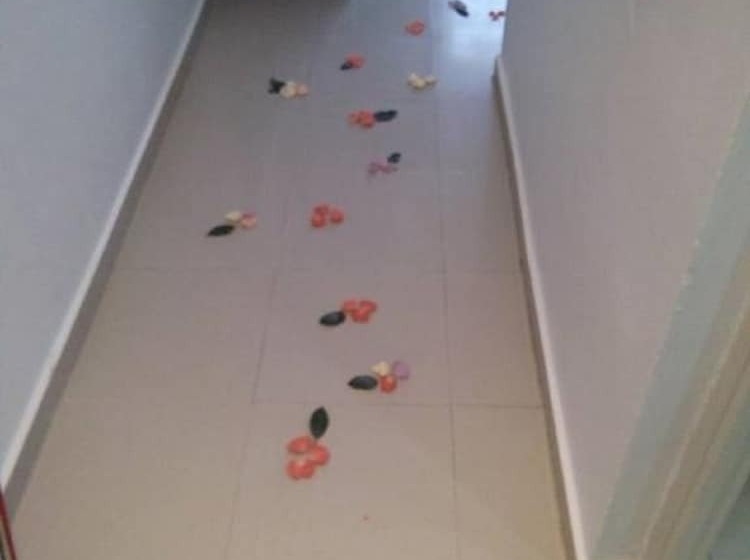 هتل Rym El Djamil