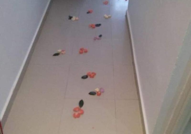 هتل Rym El Djamil