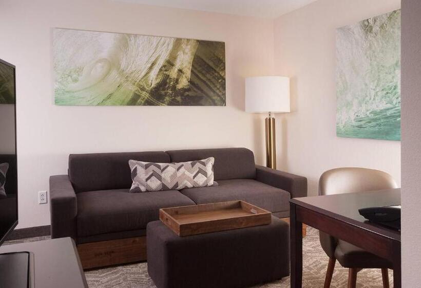 酒店 Springhill Suites Orlando Airport