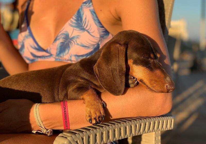 Triscinamare Hotel Residence