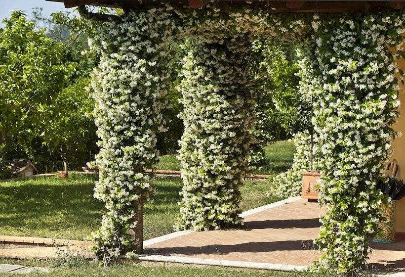 בית מלון כפרי Villa Rizzo Resort And Spa