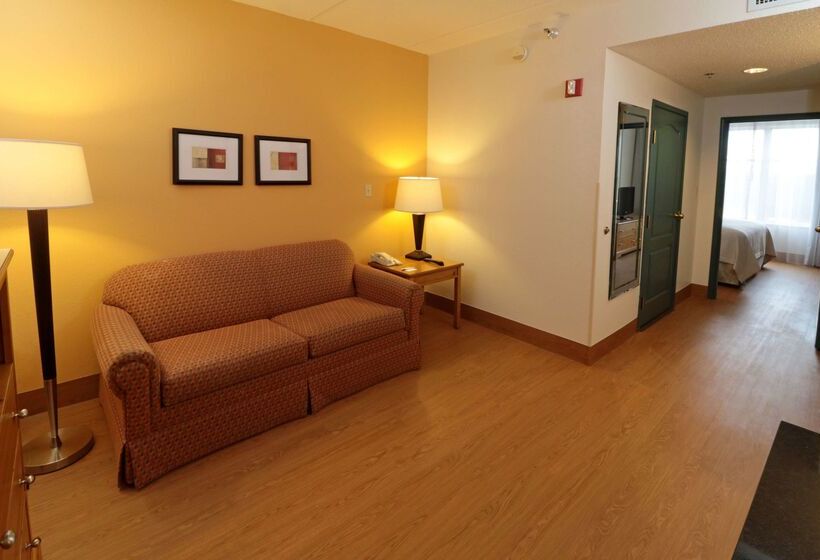 فندق Wyndham Garden Mcallen At La Plaza Mall