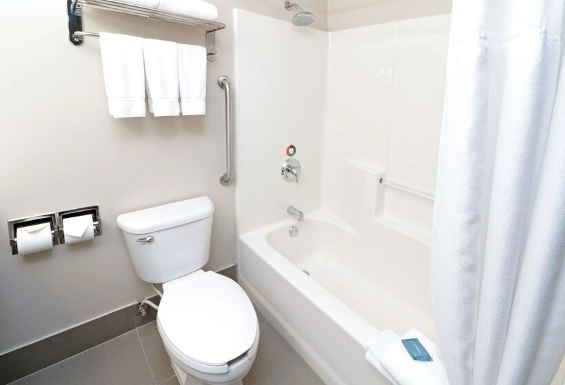 فندق Wyndham Garden Mcallen At La Plaza Mall