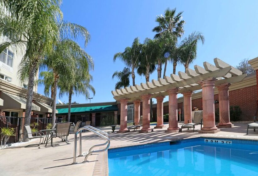 فندق Wyndham Garden Mcallen At La Plaza Mall