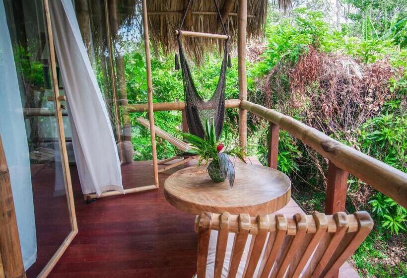 호스텔 El Pital, Chocolate Paradise