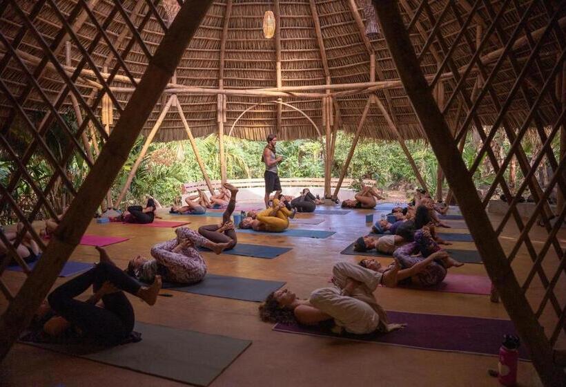 호스텔 El Pital, Chocolate Paradise