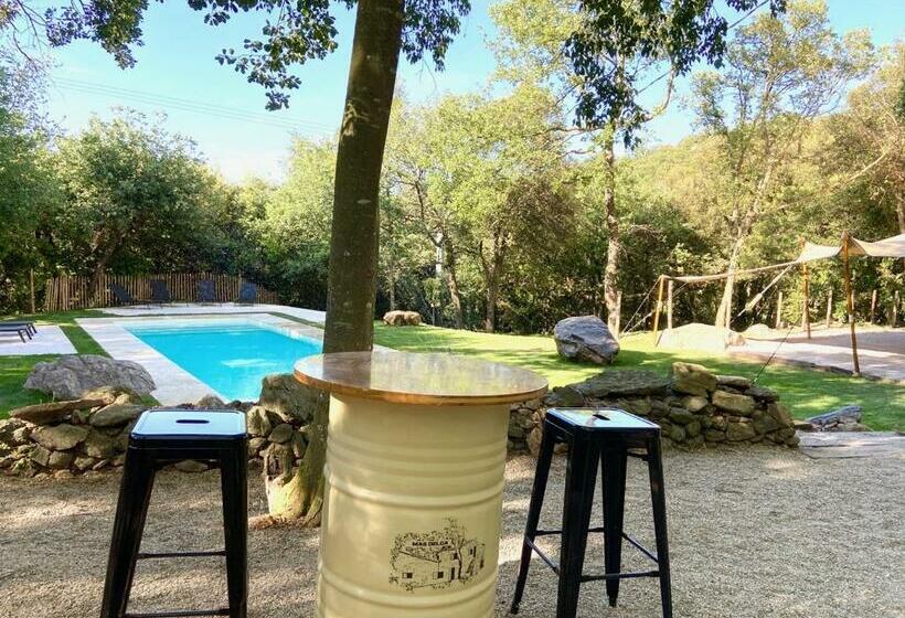 Bed and Breakfast Mas Del Ca Adult Only