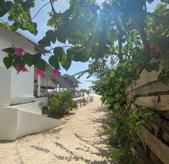 住宿加早餐 Ndiro Beach House Kendwa