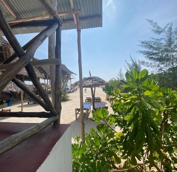 住宿加早餐 Ndiro Beach House Kendwa