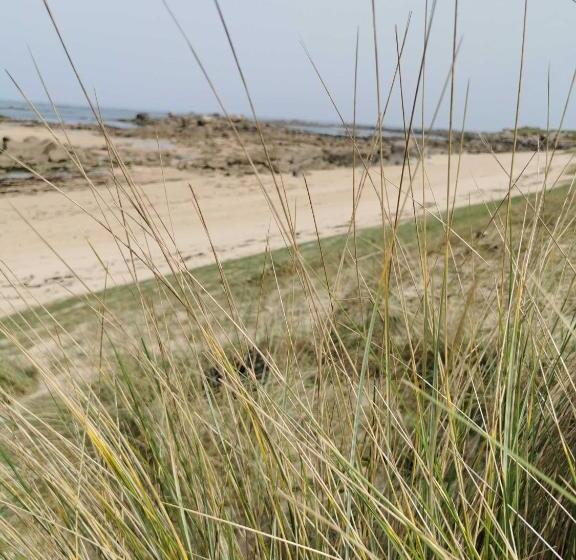 ベッドアンドブレックファースト Treas Glaz