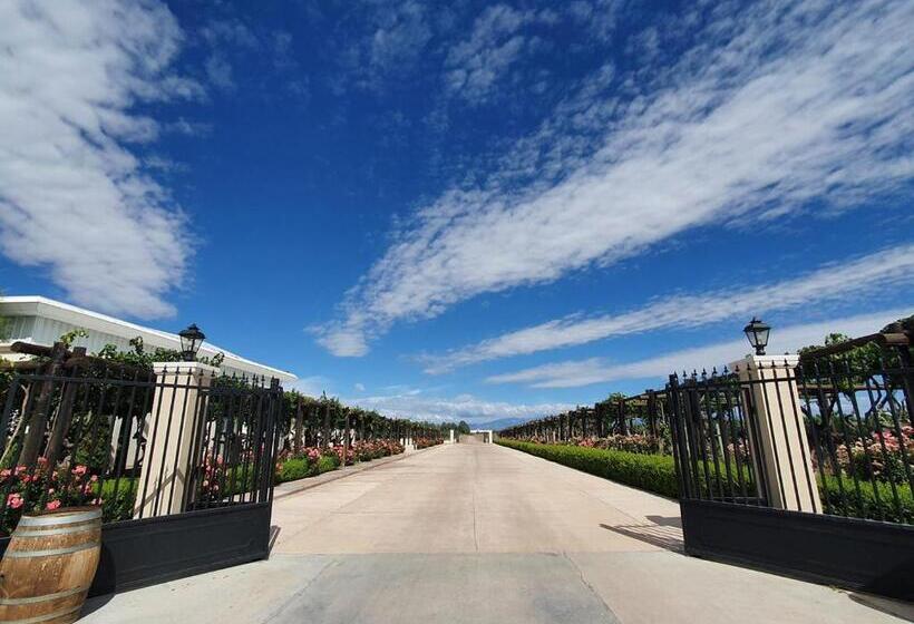 Casa Agostino   Luxury Wine And Hotel In Bodega Agostino