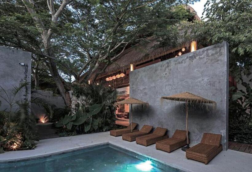 هتل Casa Hormiga