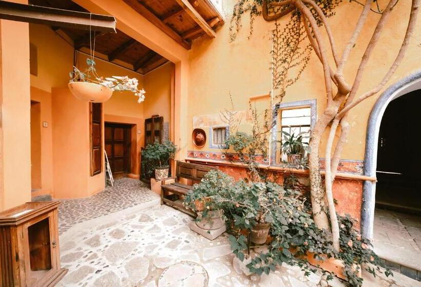 בית מלון כפרי Casamia