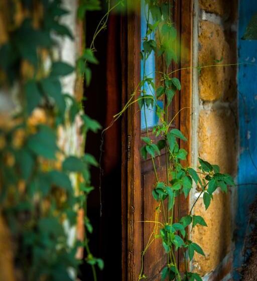 בית מלון כפרי Casamia