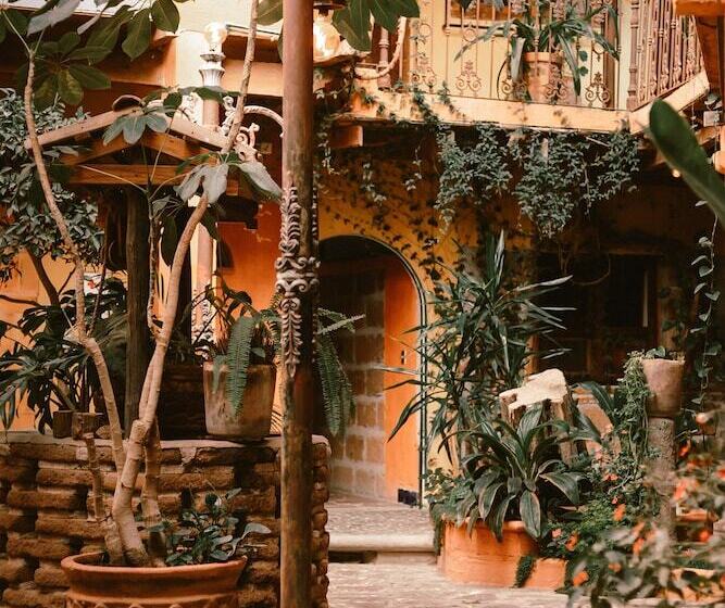 בית מלון כפרי Casamia