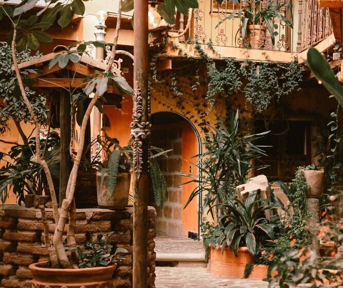 בית מלון כפרי Casamia