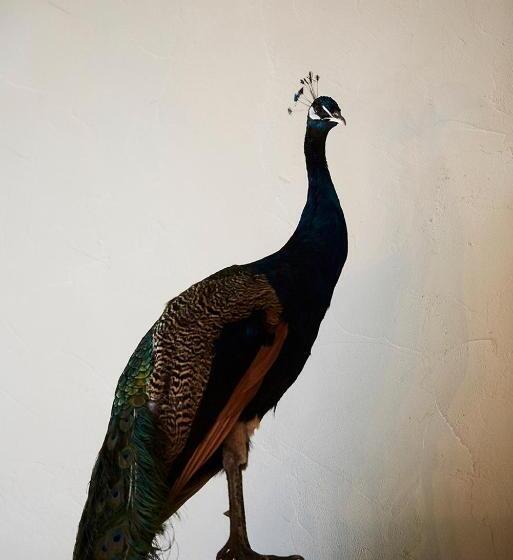 호텔 Chambre D Amis By Alix