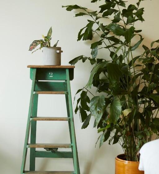 호텔 Chambre D Amis By Alix